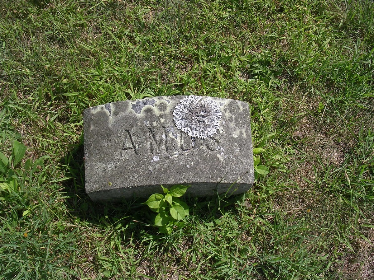 Amos Crowell Grave