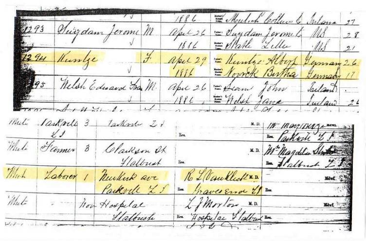 Birth Record for unknown female child of Albert and 
Bertha (Nowasky) Kuntze